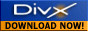 downloaddivx_blk.gif (2124 bytes)